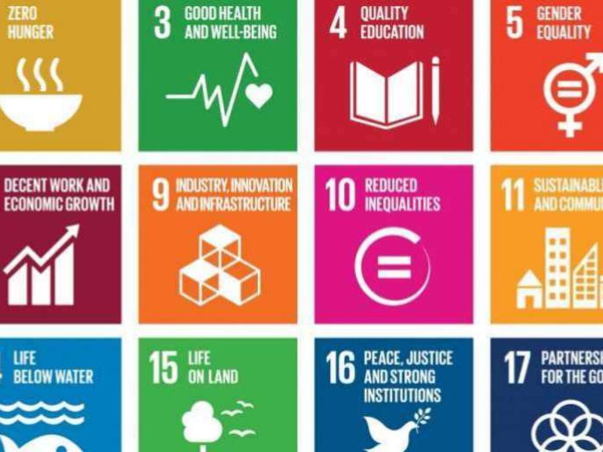 duurzame ontwikkeling voorbeelden